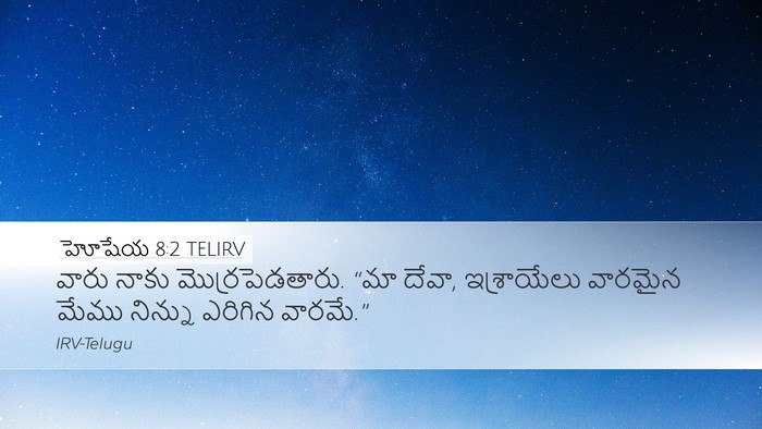 హోషేయ 8:2 TELIRV Bible Verse Image