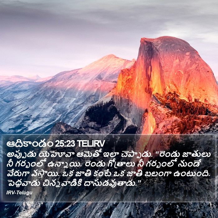 ఆదికాండం 25:23 TELIRV - అప్పుడు యెహోవా