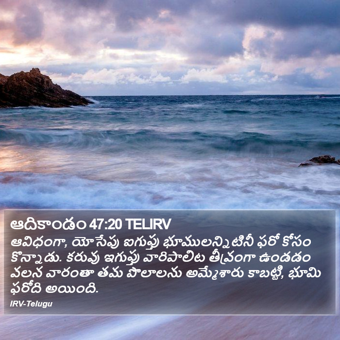 47 20 ఆదికాండం 47:20 TELIRV - ఆవిధంగా, యోసేపు