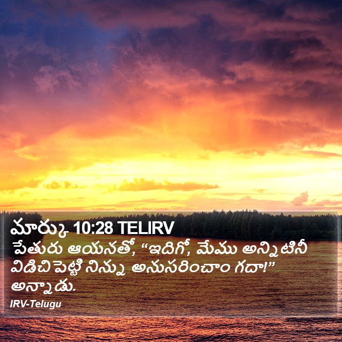 మార్కు 10:28 TELIRV - పేతురు ఆయనతో,