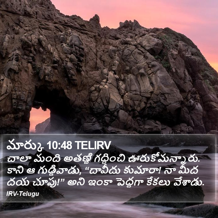 మార్కు 10:48 TELIRV - చాలా మంది అతణ్ణి