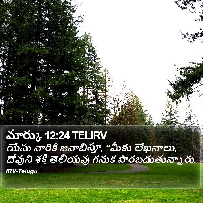 మార్కు 12:24 TELIRV - యేసు వారికి