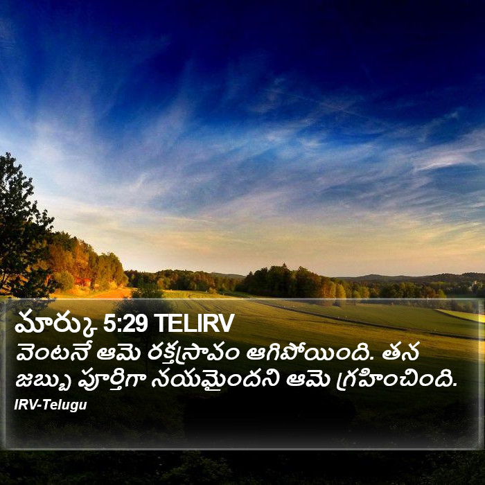 మార్కు 5:29 TELIRV - వెంటనే ఆమె