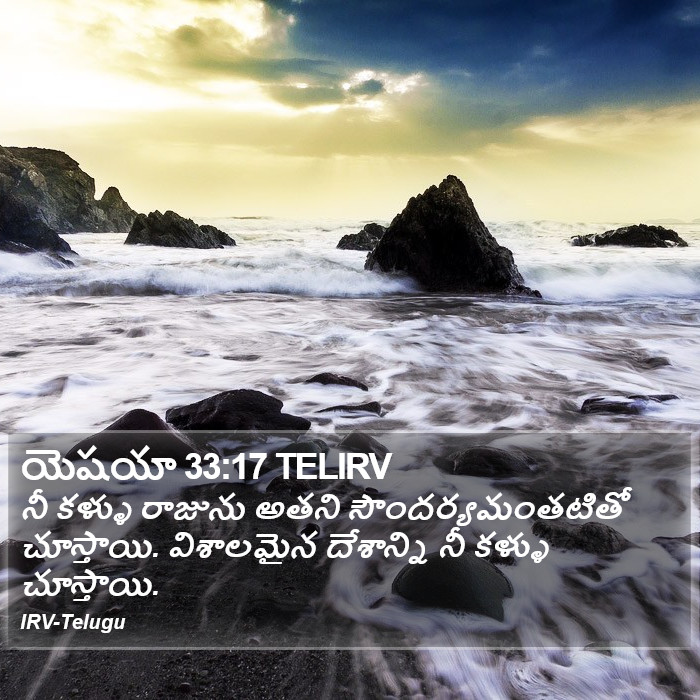 యెషయా 33:17 TELIRV - నీ కళ్ళు రాజును