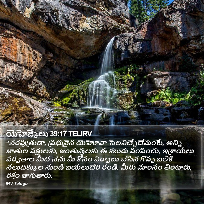 యెహెజ్కేలు 39:17 TELIRV - “నరపుత్రుడా,