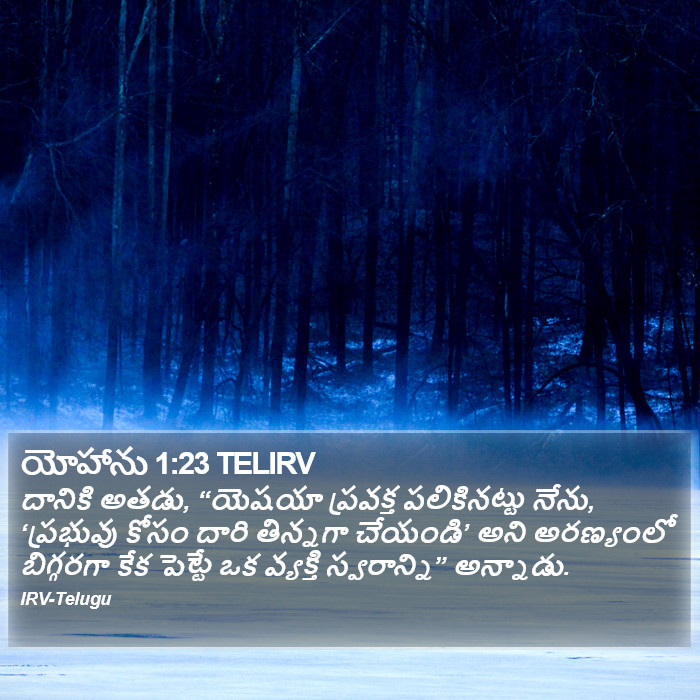 యోహాను 1:23 TELIRV - దానికి అతడు,