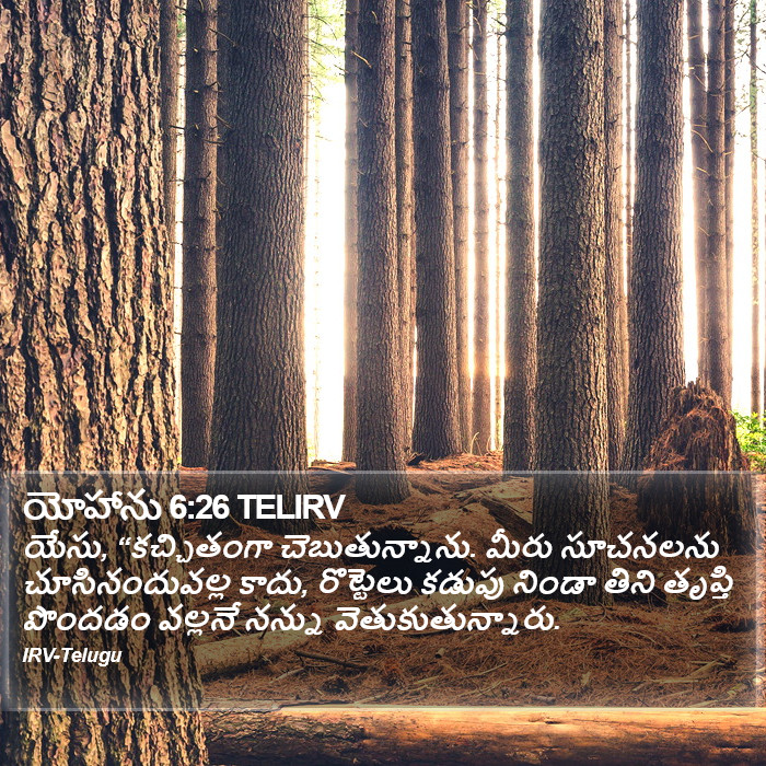 యోహాను 6:26 TELIRV - యేసు, “కచ్చితంగా