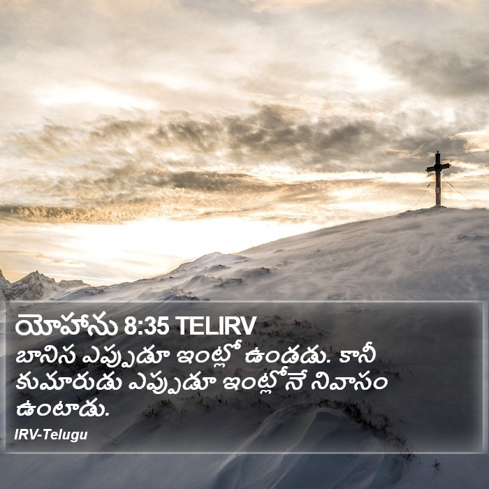యోహాను 8:35 TELIRV - బానిస ఎప్పుడూ