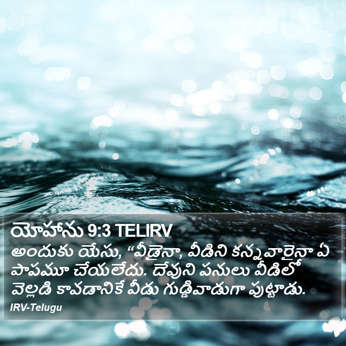 యోహాను 9:3 TELIRV - అందుకు యేసు,
