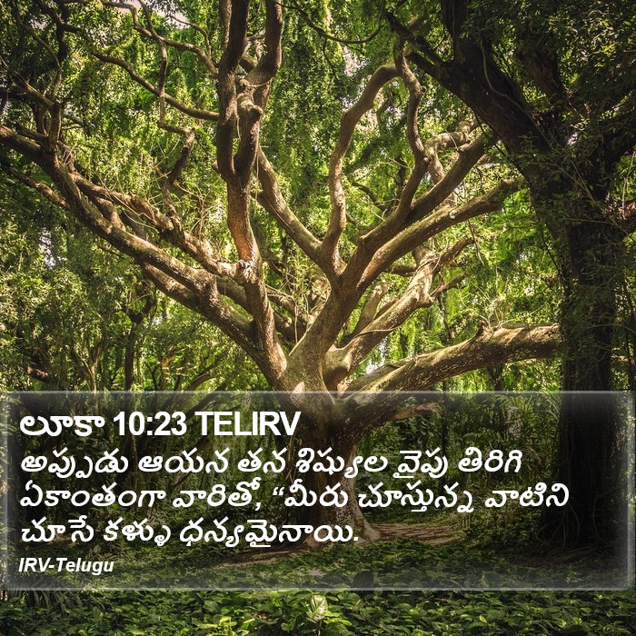 లూకా 10:23 TELIRV - అప్పుడు ఆయన తన