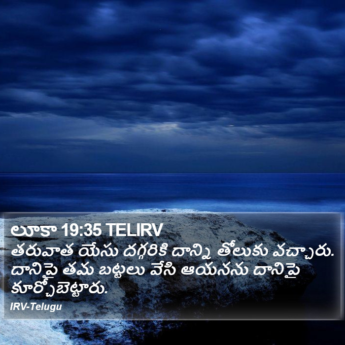 లూకా 19:35 TELIRV - తరువాత యేసు