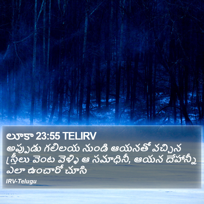 లూకా 23:55 TELIRV - అప్పుడు గలిలయ