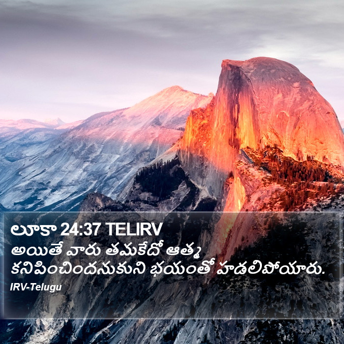 లూకా 24:37 TELIRV - అయితే వారు తమకేదో