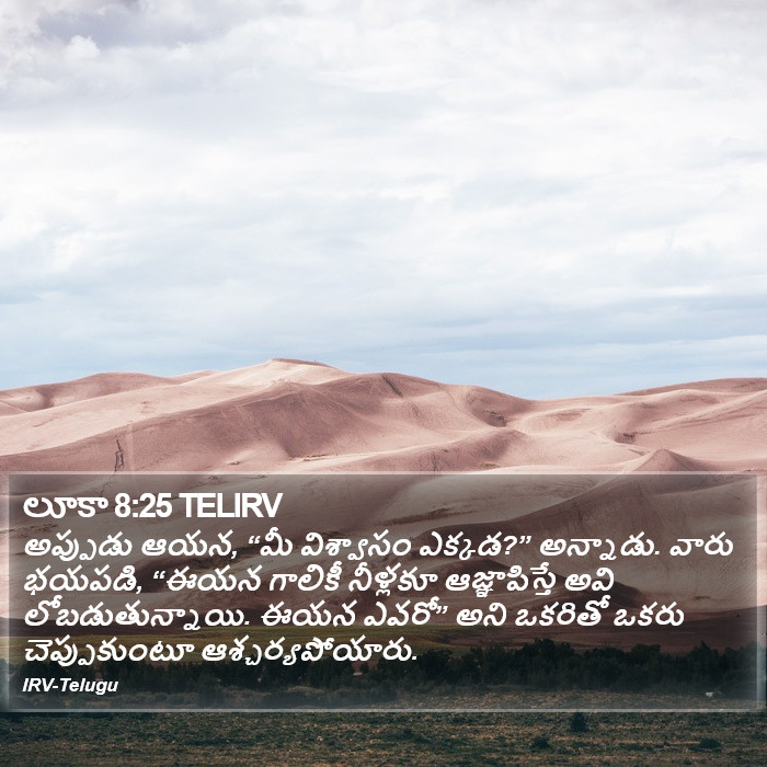లూకా 8:25 TELIRV - అప్పుడు ఆయన, “మీ