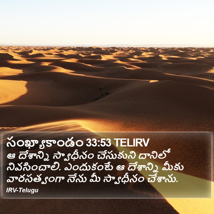 సంఖ్యాకాండం 33:53 TELIRV - ఆ దేశాన్ని