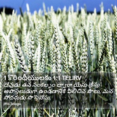 1 కొరింథీయులకు 1:1 TELIRV Bible Verse Image