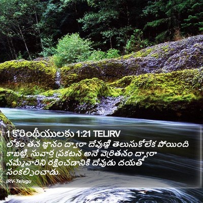 1 కొరింథీయులకు 1:21 TELIRV Bible Verse Image