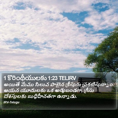1 కొరింథీయులకు 1:23 TELIRV Bible Verse Image