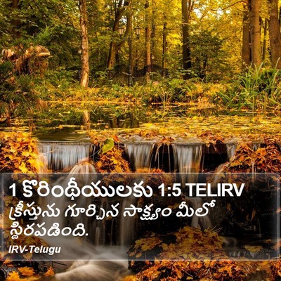 1 కొరింథీయులకు 1:5 TELIRV Bible Verse Image