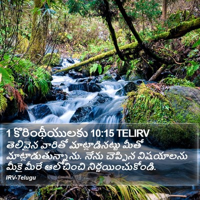 1 కొరింథీయులకు 10:15 TELIRV Bible Verse Image