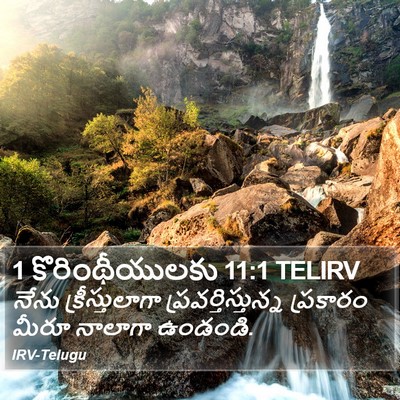 1 కొరింథీయులకు 11:1 TELIRV Bible Verse Image