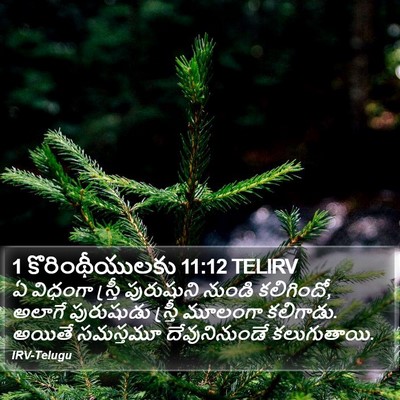 1 కొరింథీయులకు 11:12 TELIRV Bible Verse Image