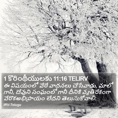 1 కొరింథీయులకు 11:16 TELIRV Bible Verse Image