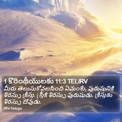 1 కొరింథీయులకు 11:3 TELIRV Bible Verse Image