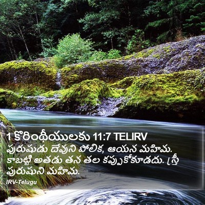 1 కొరింథీయులకు 11:7 TELIRV Bible Verse Image