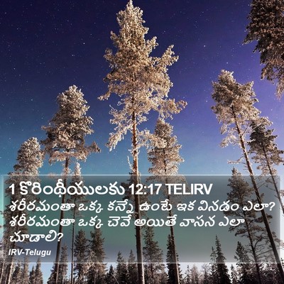 1 కొరింథీయులకు 12:17 TELIRV Bible Verse Image