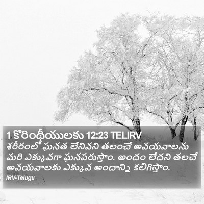 1 కొరింథీయులకు 12:23 TELIRV Bible Verse Image