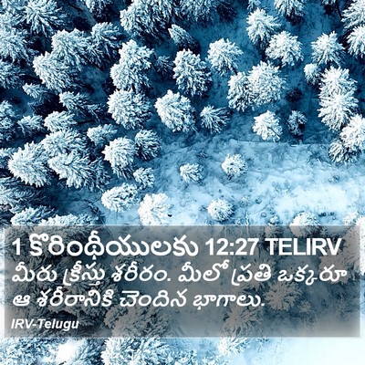 1 కొరింథీయులకు 12:27 TELIRV Bible Verse Image