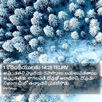 1 కొరింథీయులకు 14:25 TELIRV Bible Verse Image