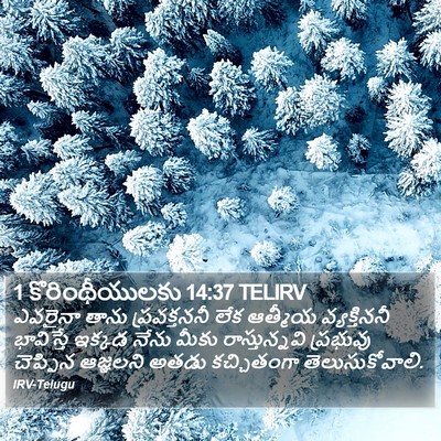 1 కొరింథీయులకు 14:37 TELIRV Bible Verse Image