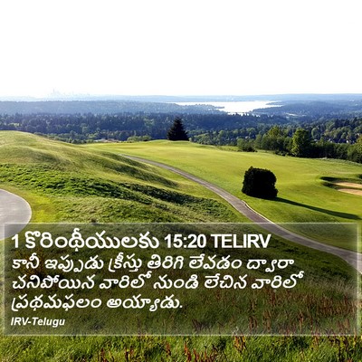 1 కొరింథీయులకు 15:20 TELIRV Bible Verse Image