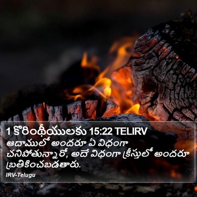1 కొరింథీయులకు 15:22 TELIRV Bible Verse Image