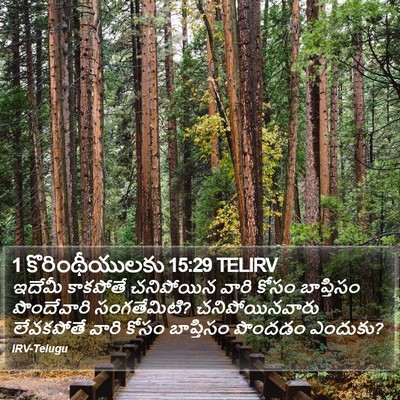 1 కొరింథీయులకు 15:29 TELIRV Bible Verse Image