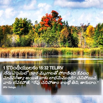 1 కొరింథీయులకు 15:32 TELIRV Bible Verse Image