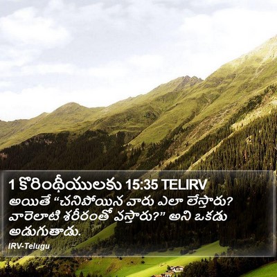 1 కొరింథీయులకు 15:35 TELIRV Bible Verse Image