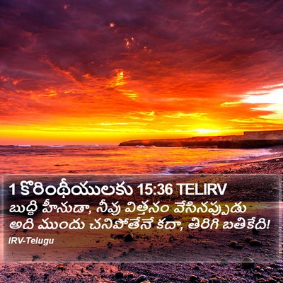 1 కొరింథీయులకు 15:36 TELIRV Bible Verse Image