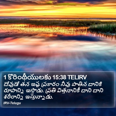 1 కొరింథీయులకు 15:38 TELIRV Bible Verse Image