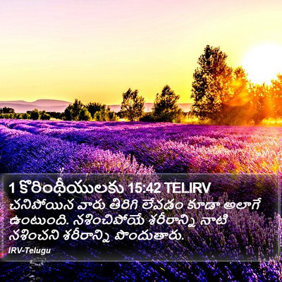 1 కొరింథీయులకు 15:42 TELIRV Bible Verse Image