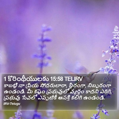 1 కొరింథీయులకు 15:58 TELIRV Bible Verse Image