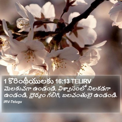 1 కొరింథీయులకు 16:13 TELIRV Bible Verse Image