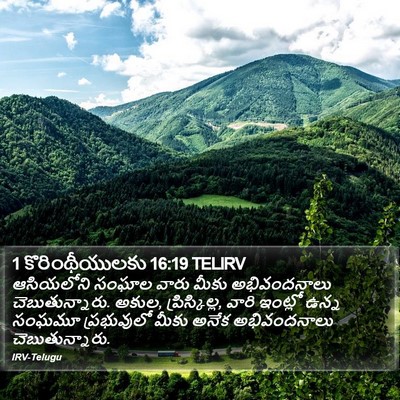1 కొరింథీయులకు 16:19 TELIRV Bible Verse Image