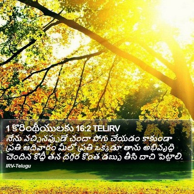1 కొరింథీయులకు 16:2 TELIRV Bible Verse Image
