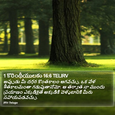 1 కొరింథీయులకు 16:6 TELIRV Bible Verse Image