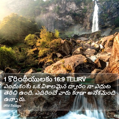 1 కొరింథీయులకు 16:9 TELIRV Bible Verse Image