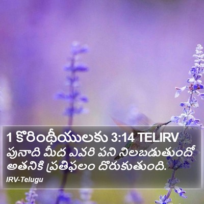 1 కొరింథీయులకు 3:14 TELIRV Bible Verse Image