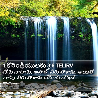 1 కొరింథీయులకు 3:6 TELIRV Bible Verse Image